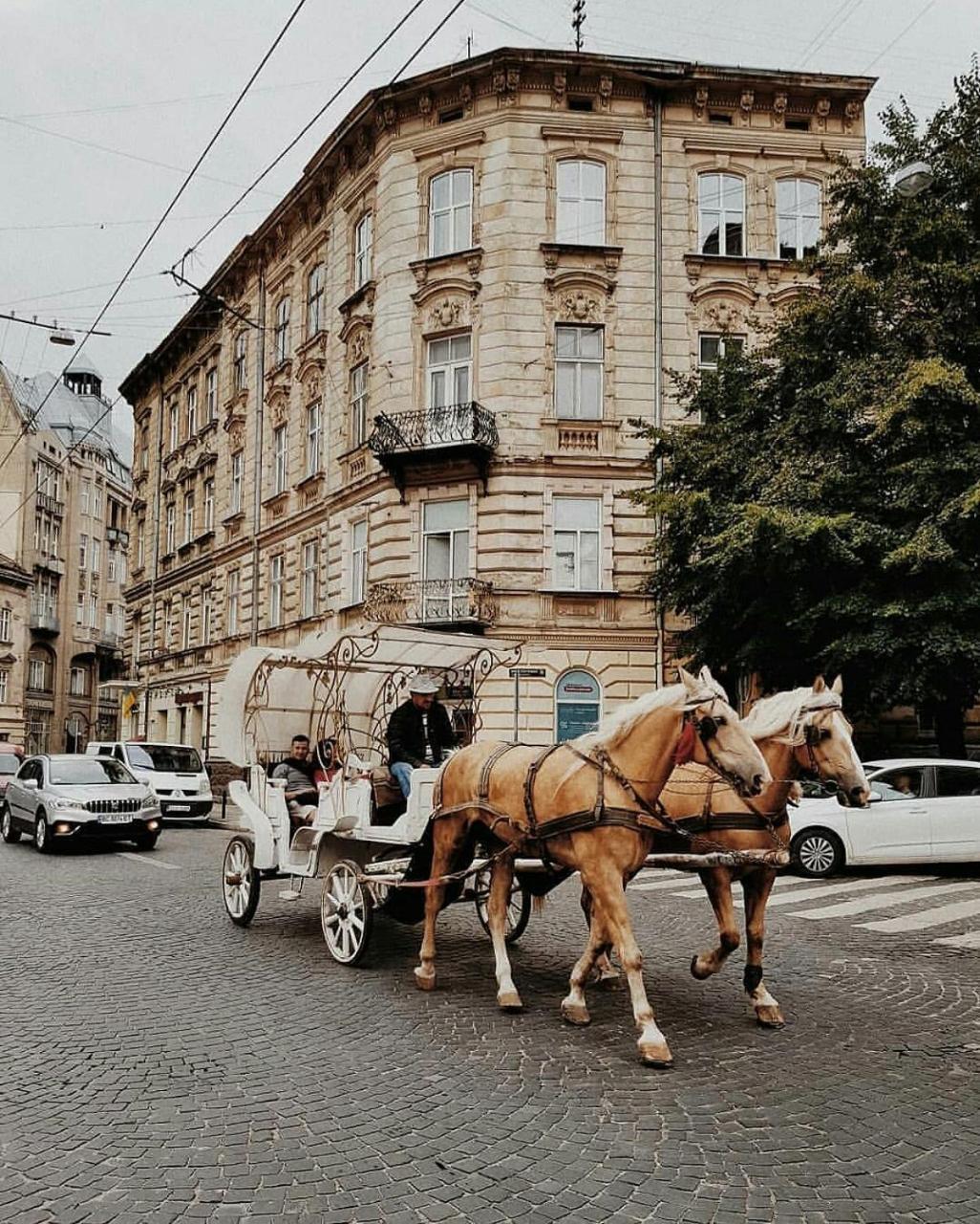 Edem Apartments in Lviv Buitenkant foto